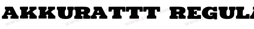 AkkuratTT Regular字体转换